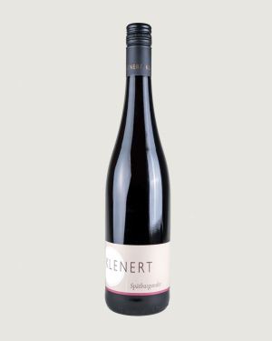 Spätburgunder / Pinot Noir – Weingut Klenert – Baden