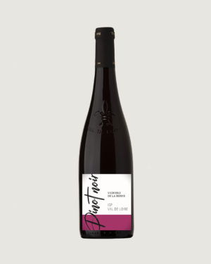 Pinot Noir – Domaine de la Renne – 2024
