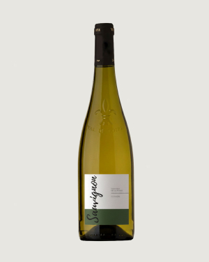 Sauvignon Blanc – Domaine de la Renne – Loire – Touraine