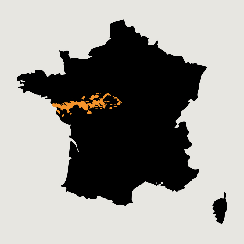 Frankrijk | Loire | Touraine